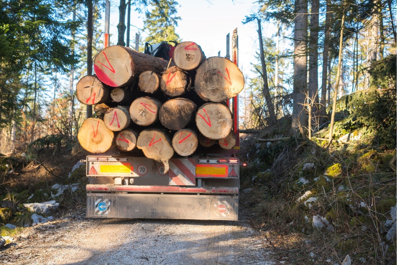 Transporte florestal