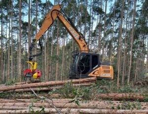 Produtividade na colheita florestal