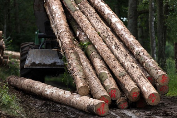 Critérios para seleção de máquina florestal