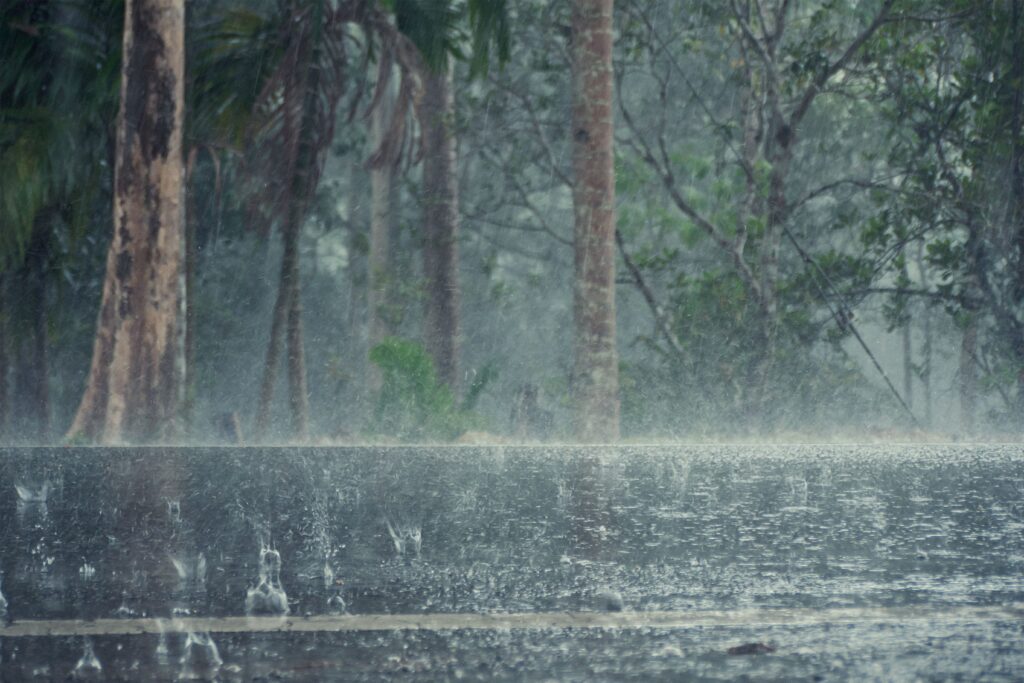 clima chuvoso em florestas