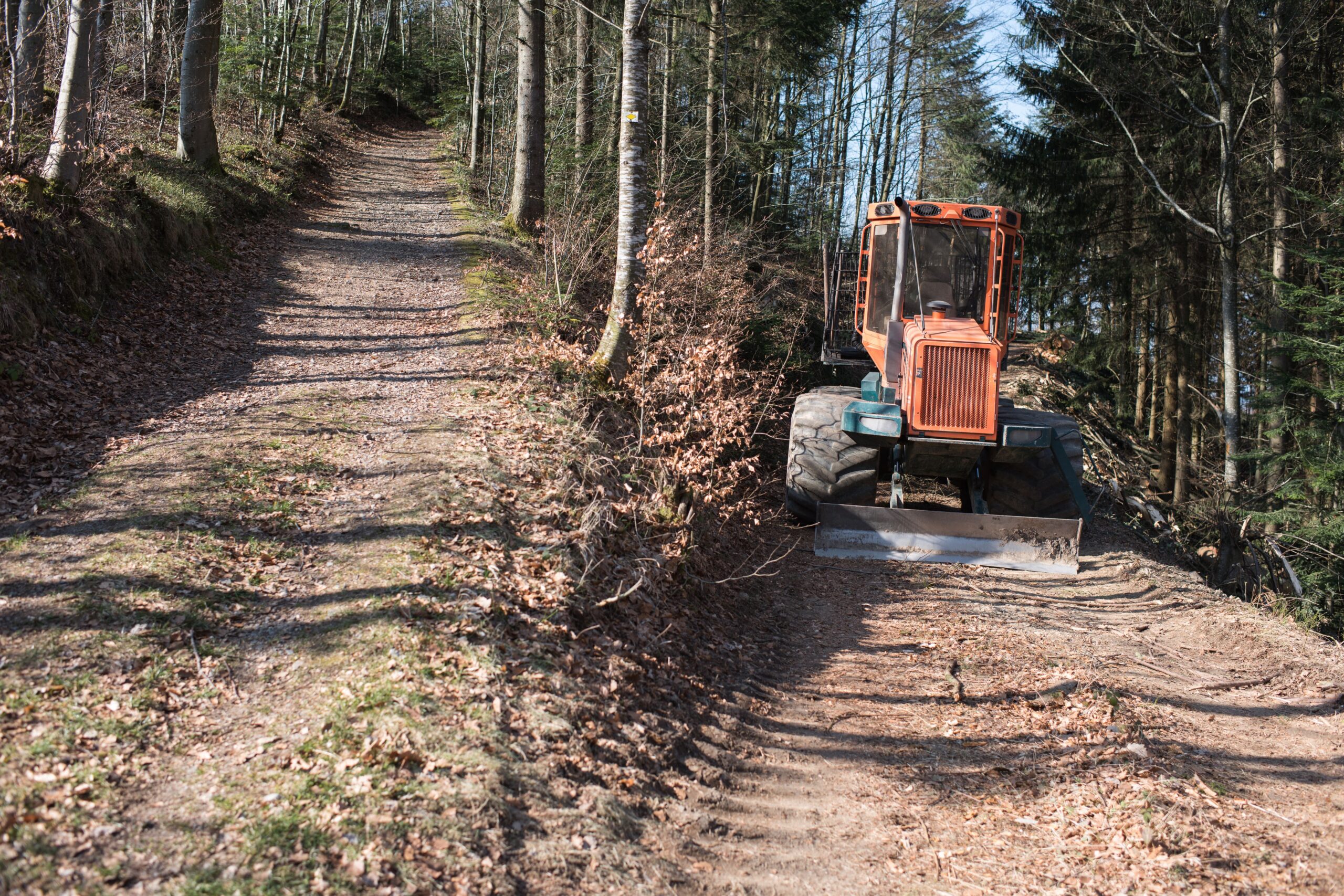 Máquinas florestais em terrenos desafiadores