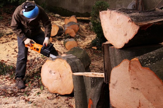 Segurança operação florestal