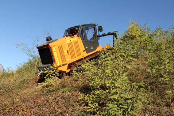 Operação florestal em terreno íngreme