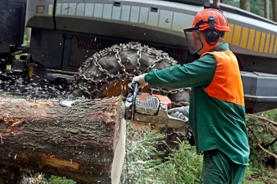 Uso de EPI em operação florestal