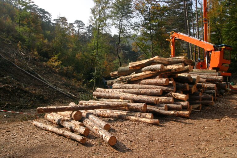 Automação florestal