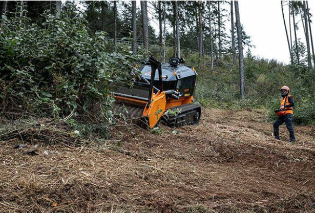 segurança em máquinas florestais 