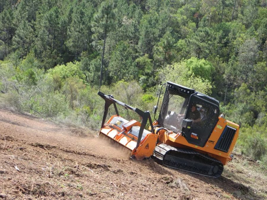 colheita florestal em terreno inclinado