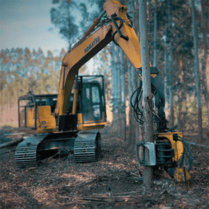 Manutencao de cabecotes florestais o que o manual nao mostra mas voce precisa saber 1