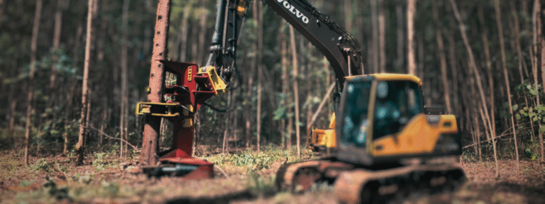 Mecanização florestal: tendências e tecnologias para aumentar a produtividade